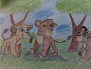 A Pack Walk