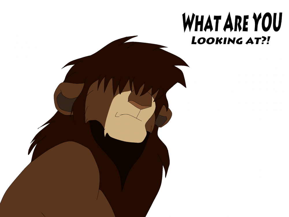 What are YOU looking at?