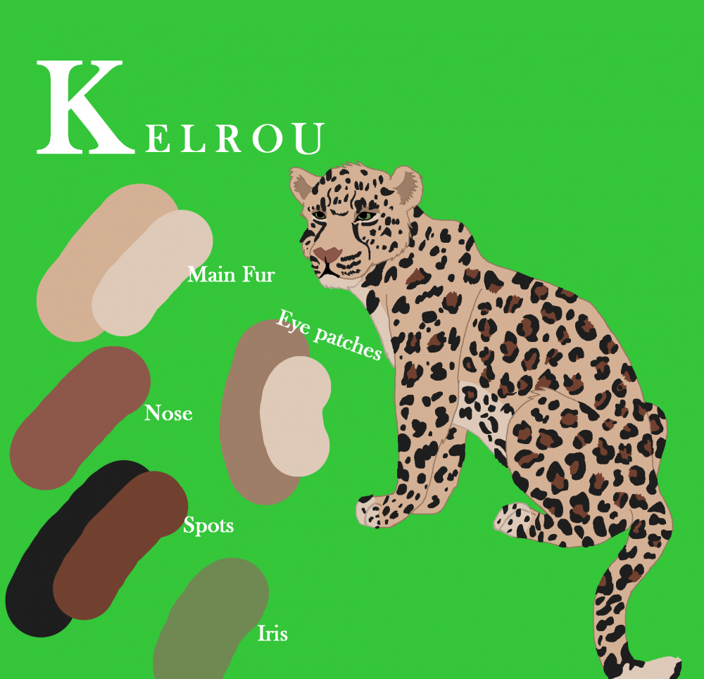 Kelrou's new design