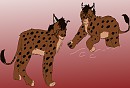 Lynxion (LynxXlion) Cub