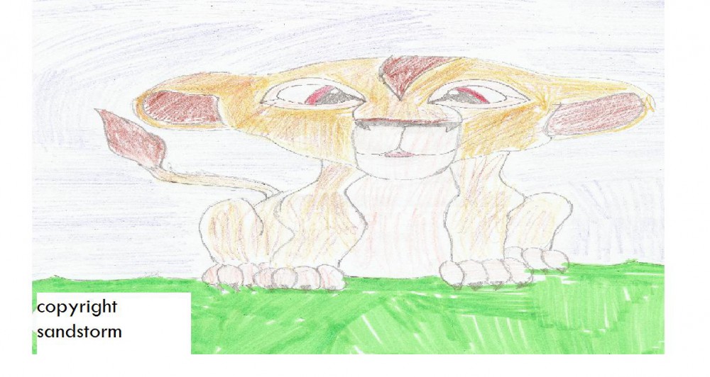 cub zira
