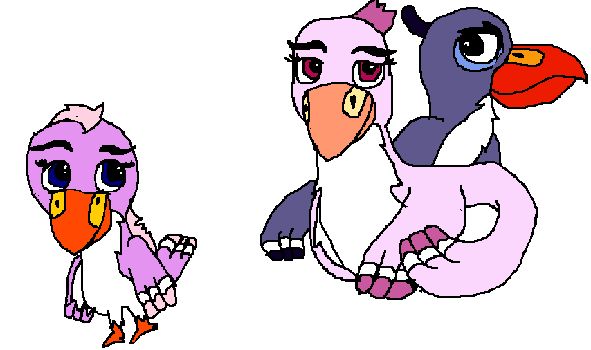 The Bird Family