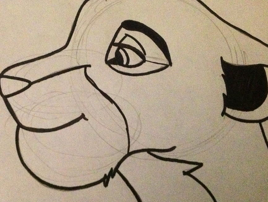 Nala on paper