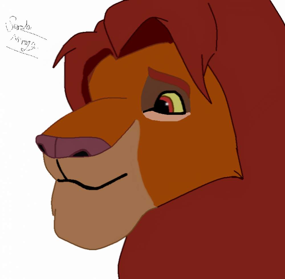 Simba head