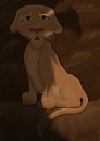 Simba, where are you?
