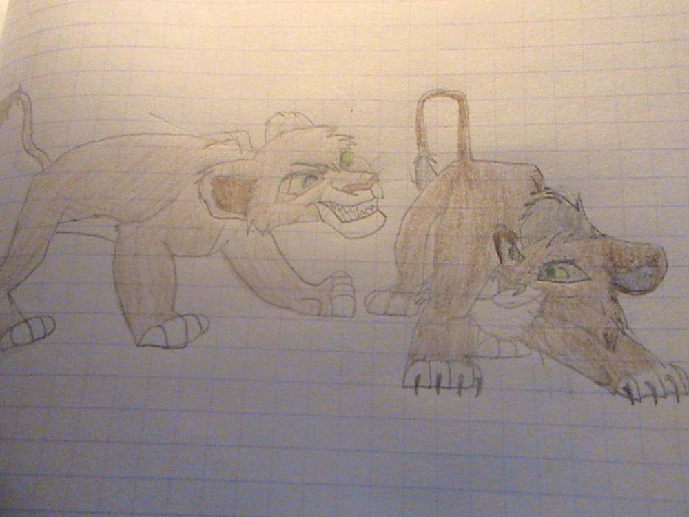 Kovu est vitani qui joue 