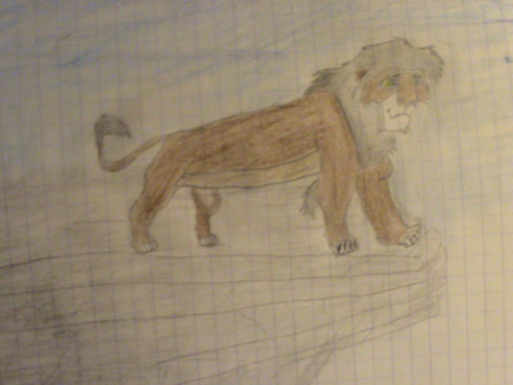Kovu sur le rocher