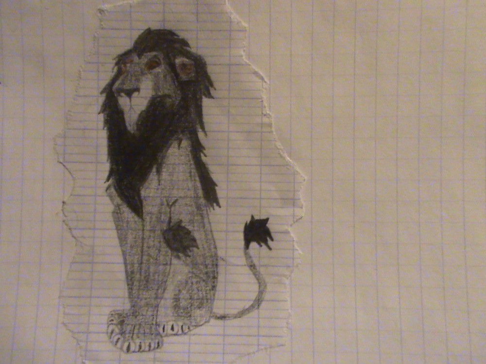 Ombre lion