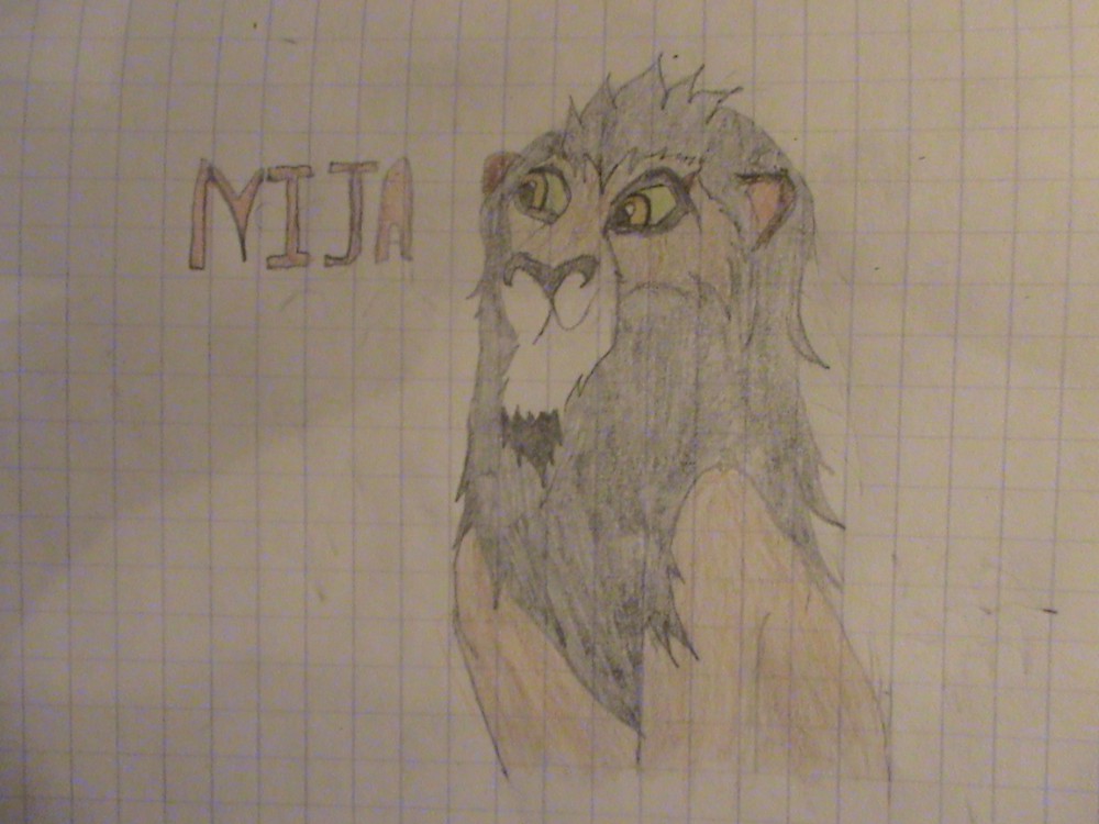Un demi frére de Scar pour un concour.