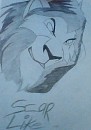 Scar 