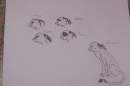 Cheetah Characters WIP