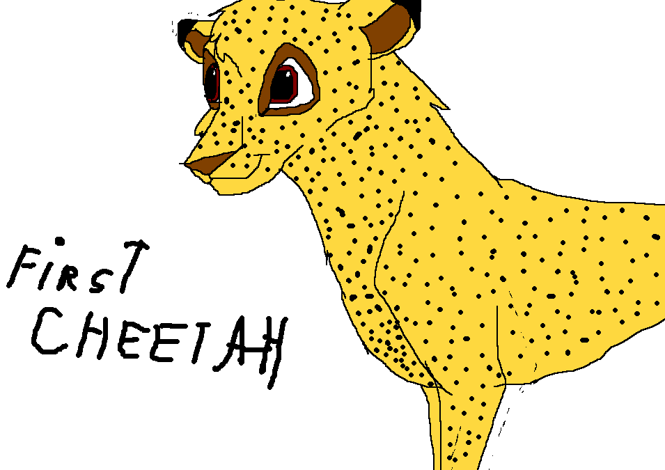 My first cheetah