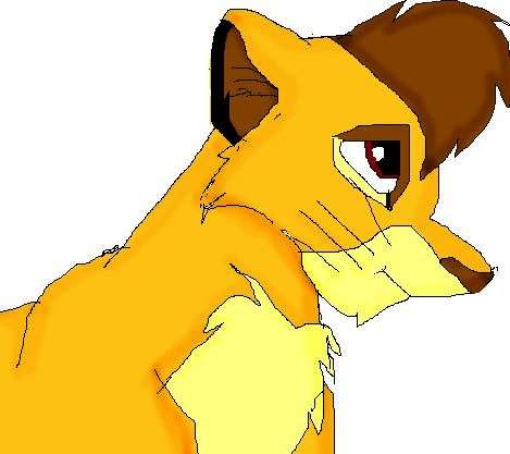 Kopa