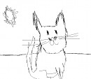 is it a cat?