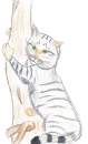 realistic taby cat