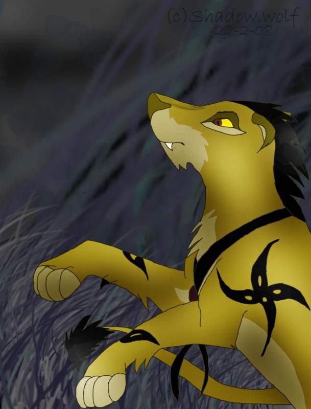 Lion roar