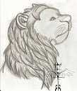 Lion drawing