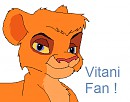 Vitani Fan