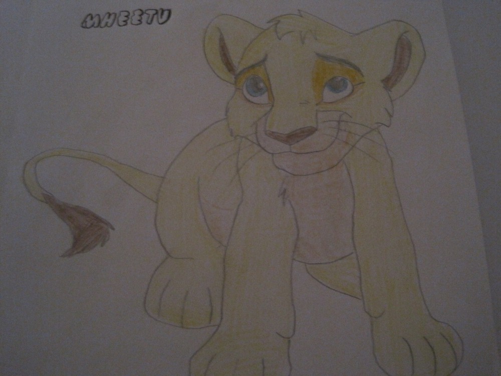 Ma version de Mheetu .