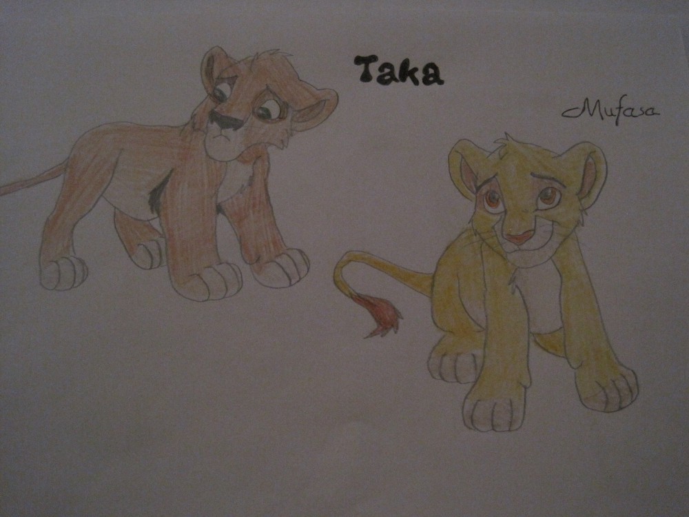 Mufasa & Taka(Scar) 
