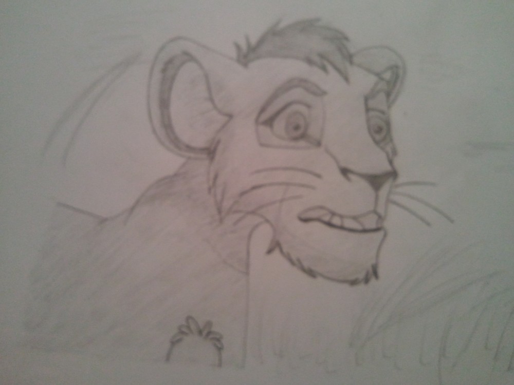Kovu =)