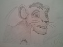 Kovu =)