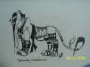 Serioulsy Complicated