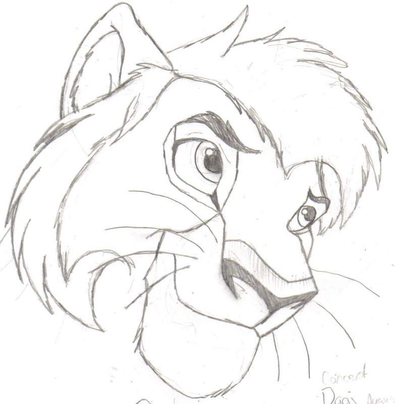 Concept for Dagj