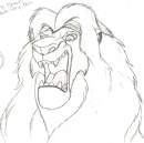 Concept for Jarabie