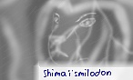 Shimaï smilodon