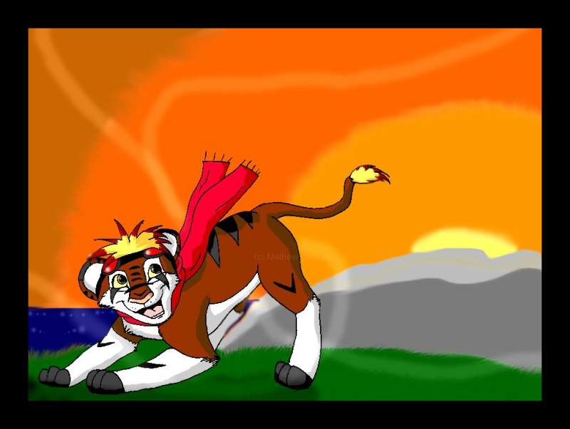 Highspeed the Lion