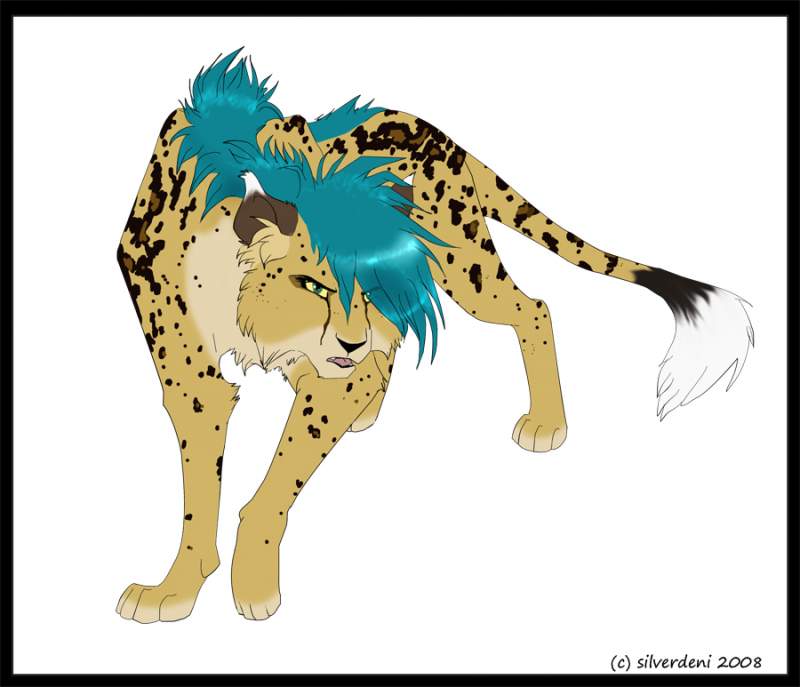 Imma cheetorz