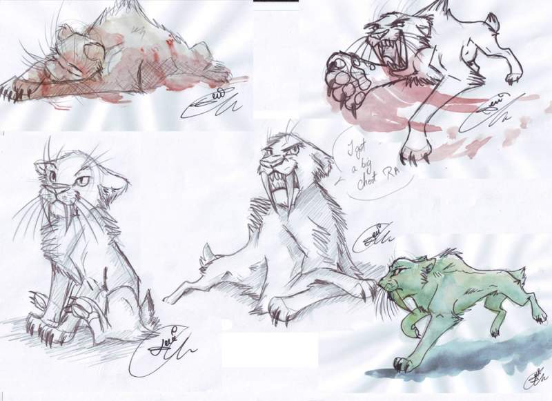 Sabre studies
