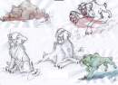 Sabre studies