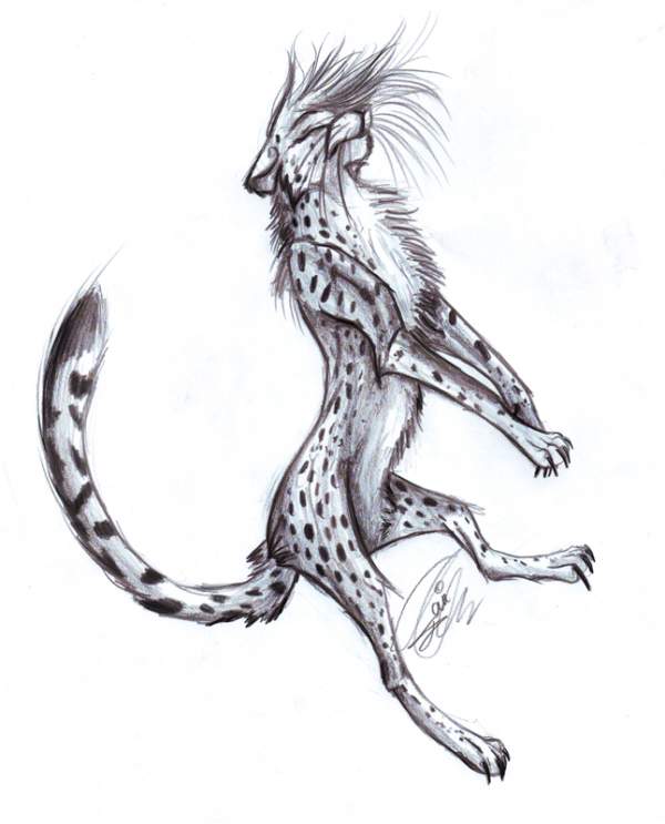 In a feline way.