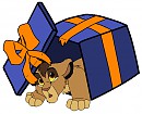 Cub in a box