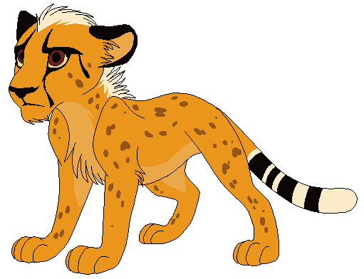 cheetah