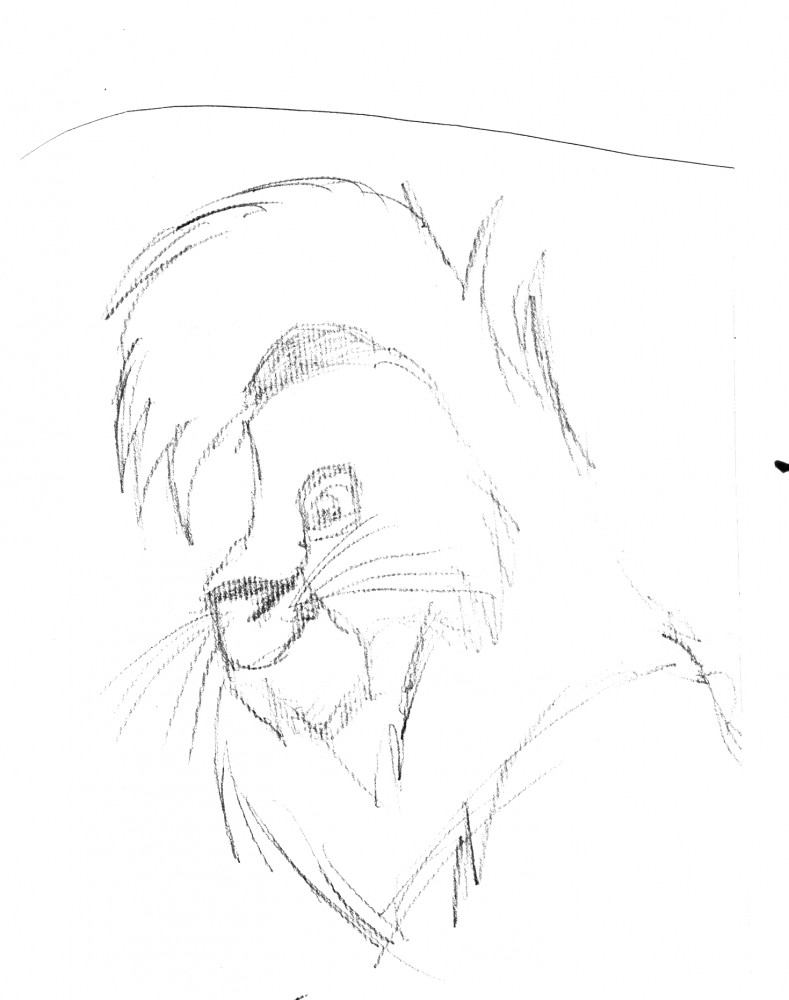 kovu