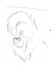 kovu