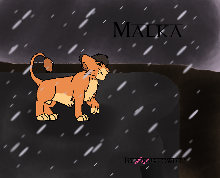 Malka in the Rain