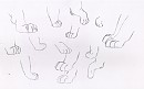 TLK Paw Study