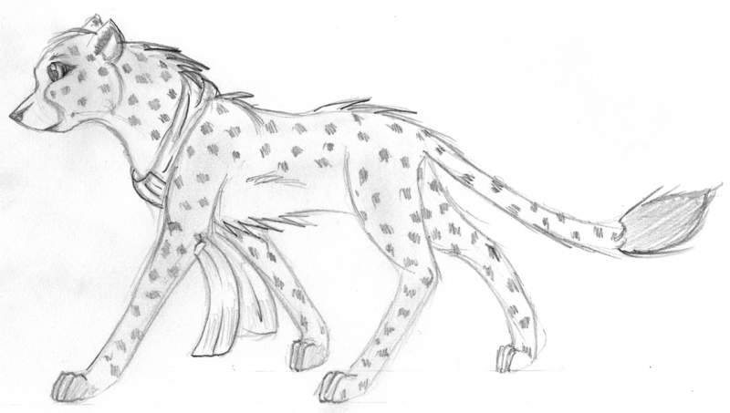 Cheeta again
