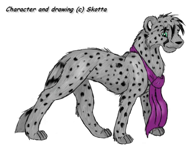 Cheetah furson