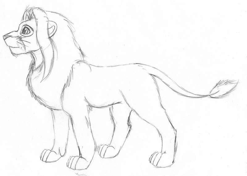 Simba older