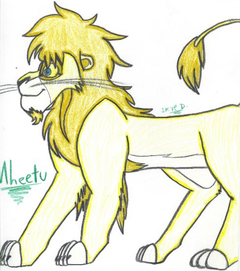 My version of Mheetu