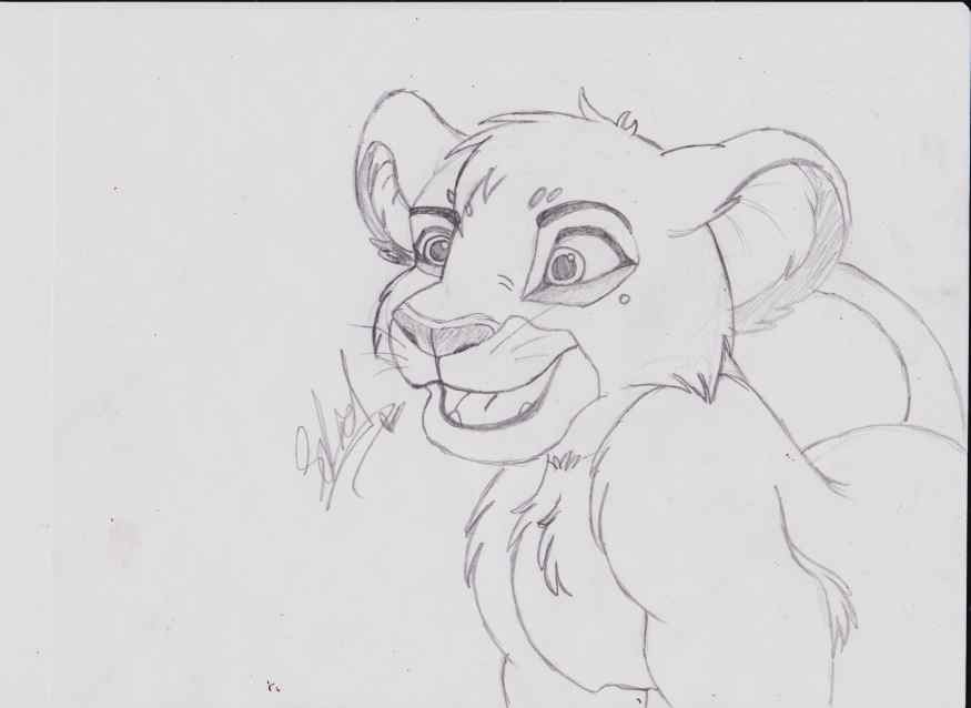 Cub Scar