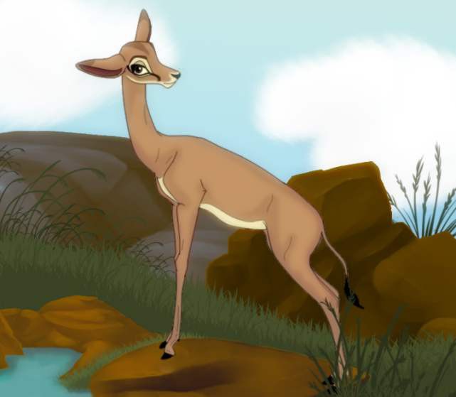 Antelope