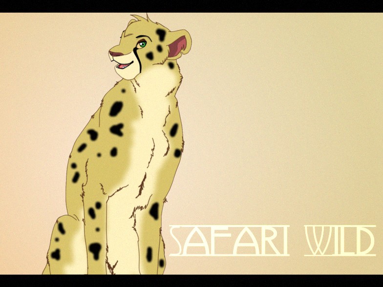 Random Wild cat