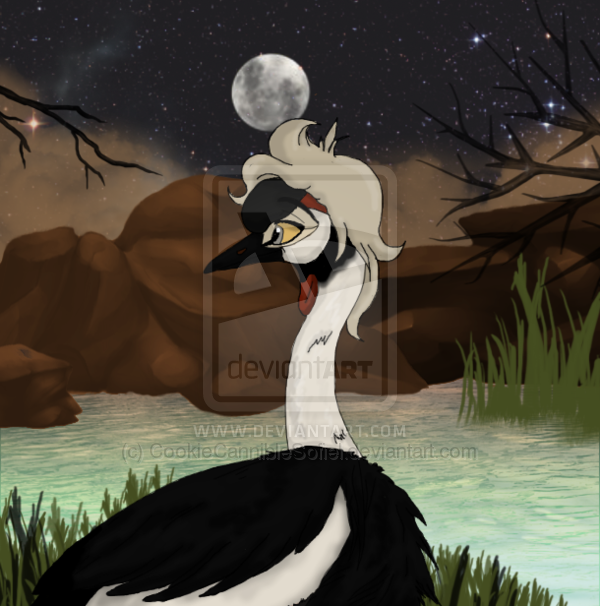 African Crested Crane