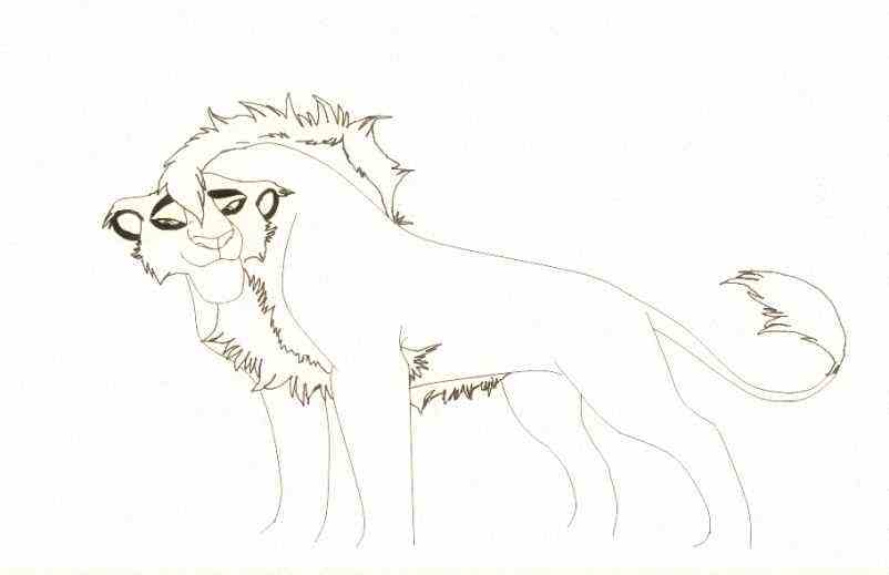 Adolescent Lion